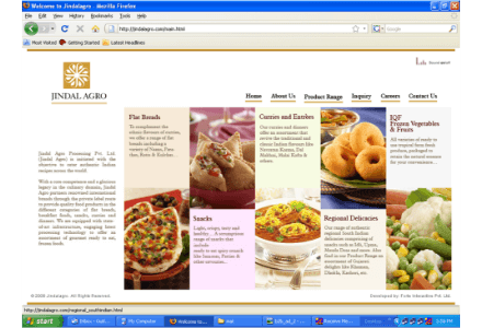 Jindal Website Design