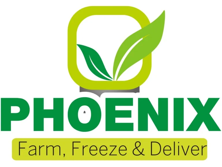 phoenix 4